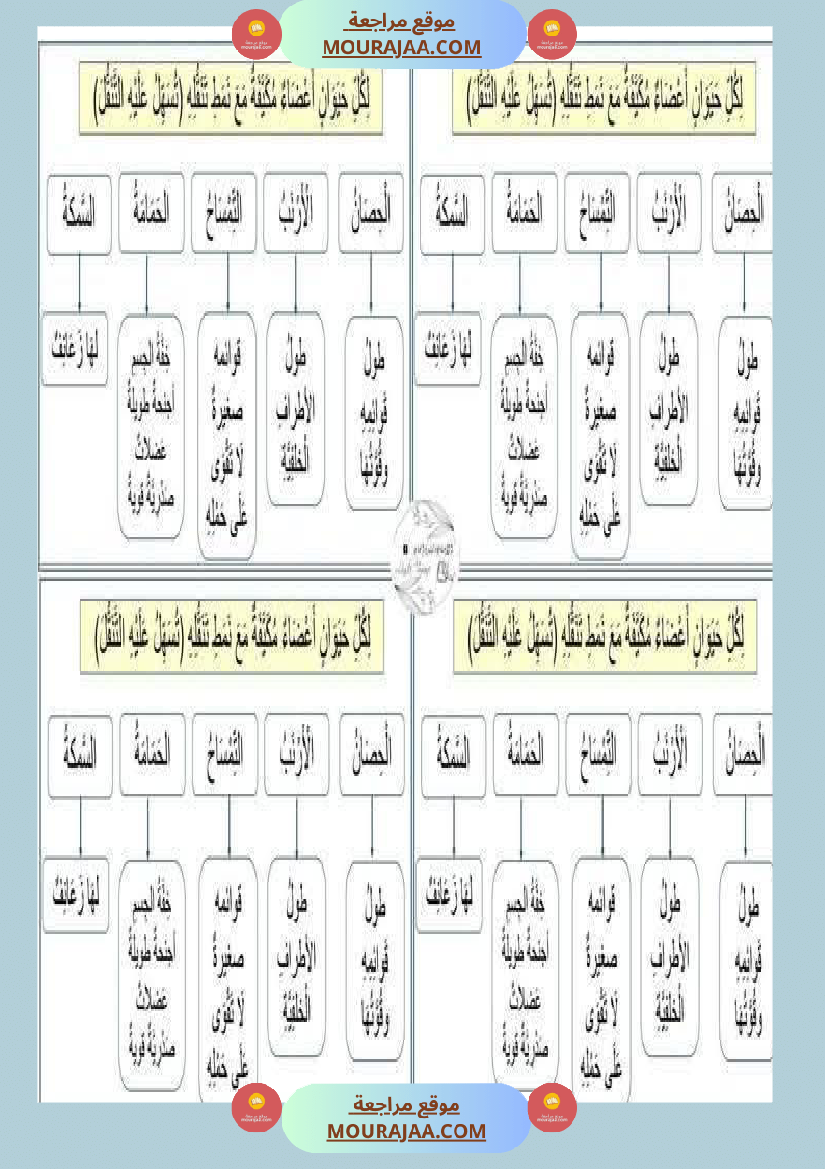 محور التنقل عند الحيوانات السنة الثالثة