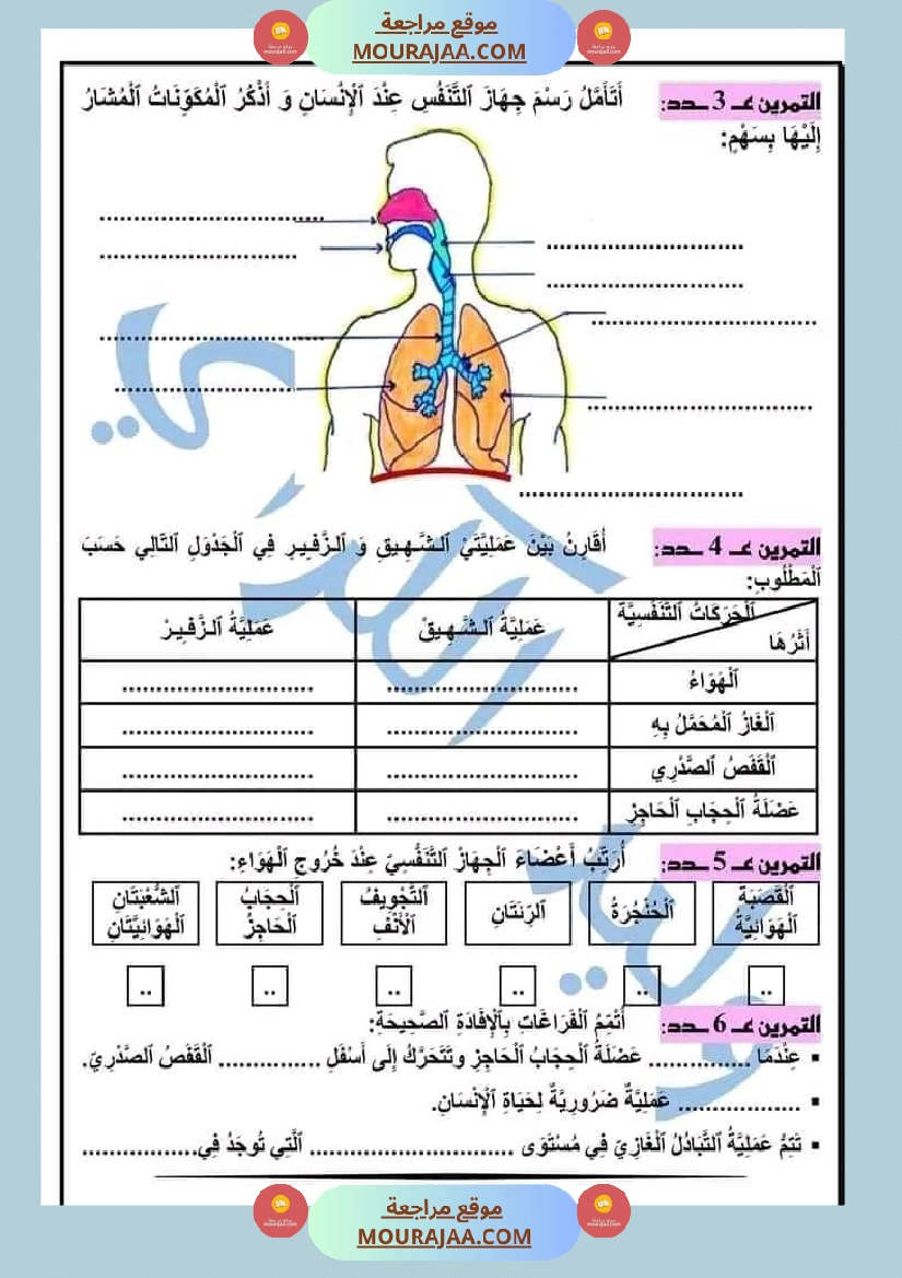 السنة الخامسة ايقاظ علمي الجاهز النفسي تطبيقات مرفقة بالاصلاح صفحة 2