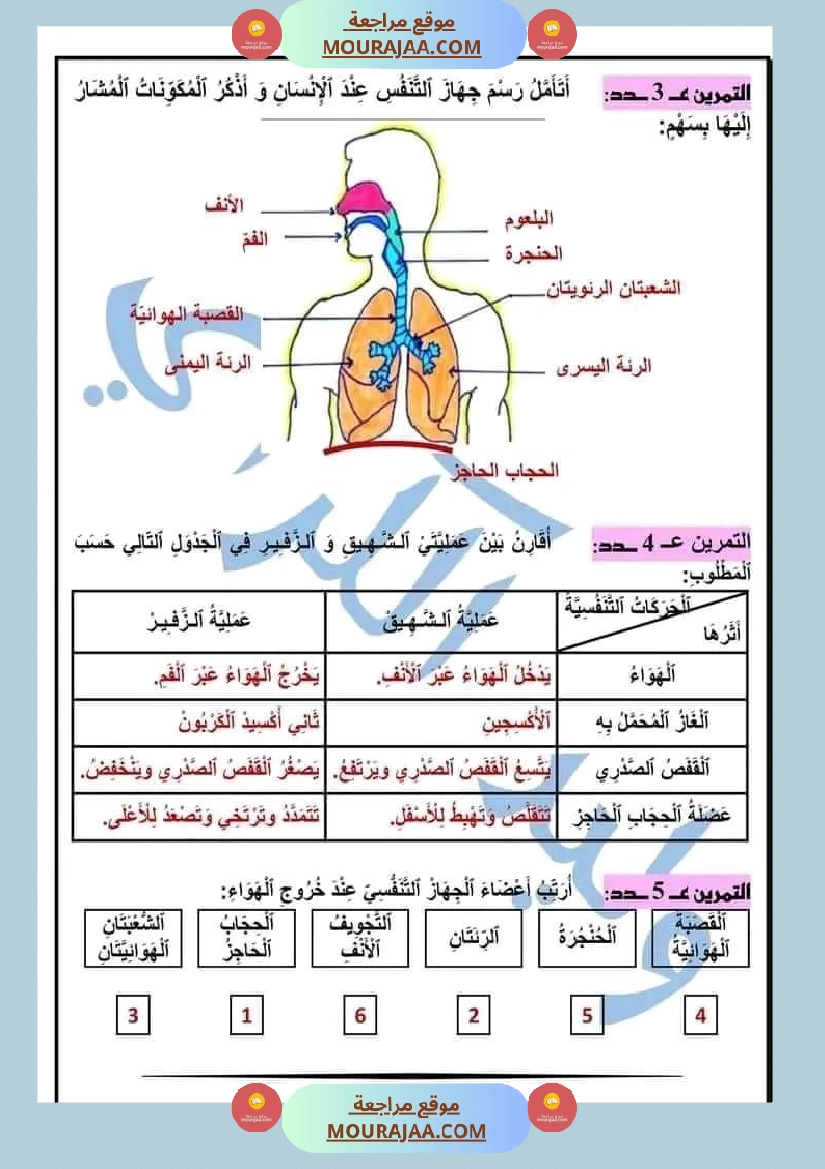 السنة الخامسة ايقاظ علمي الجاهز النفسي تطبيقات مرفقة بالاصلاح صفحة 5