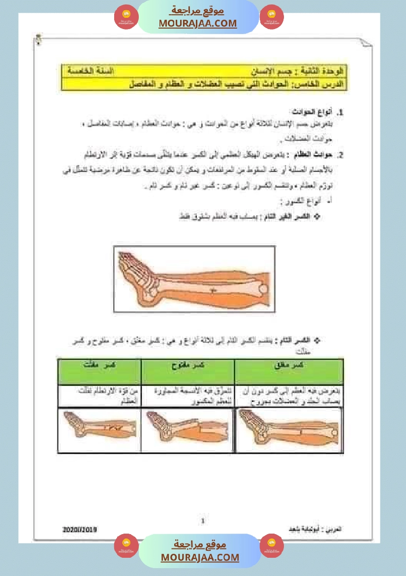 سنة خامسة الهيكل العظمي