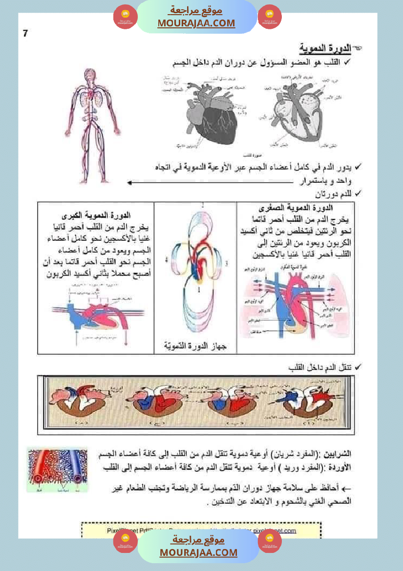 ملخص الايقاظ العلمي للسنة الخامسة