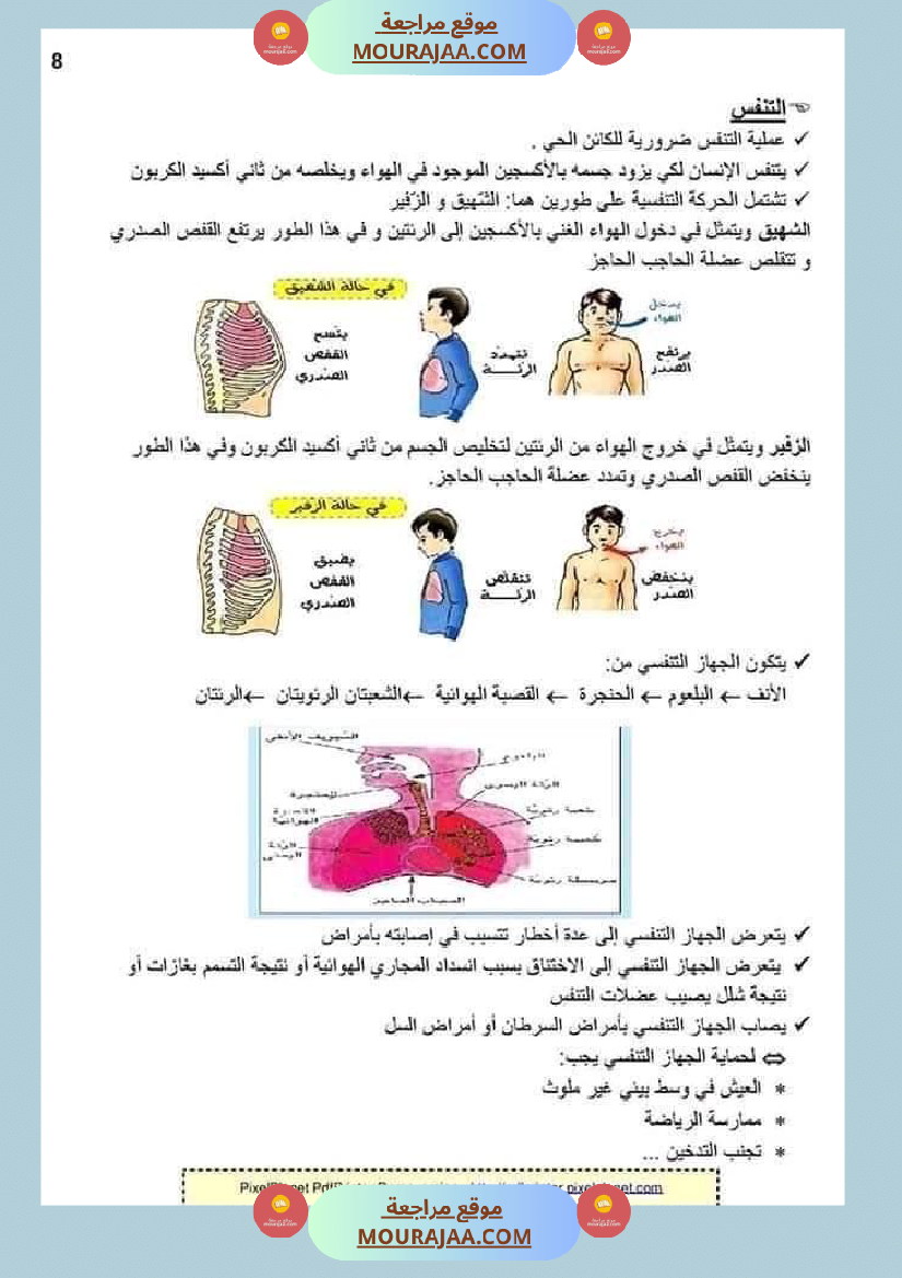 ملخص الايقاظ العلمي للسنة الخامسة