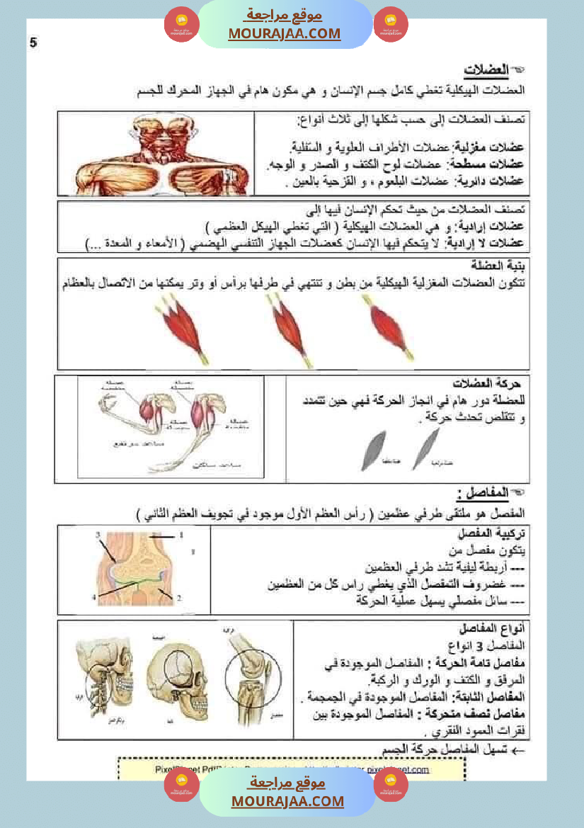 ملخص الايقاظ العلمي للسنة الخامسة