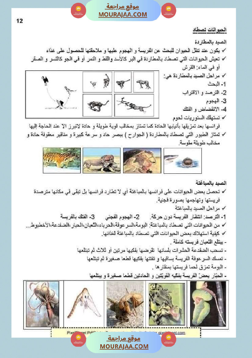 ملخص الايقاظ العلمي للسنة الخامسة