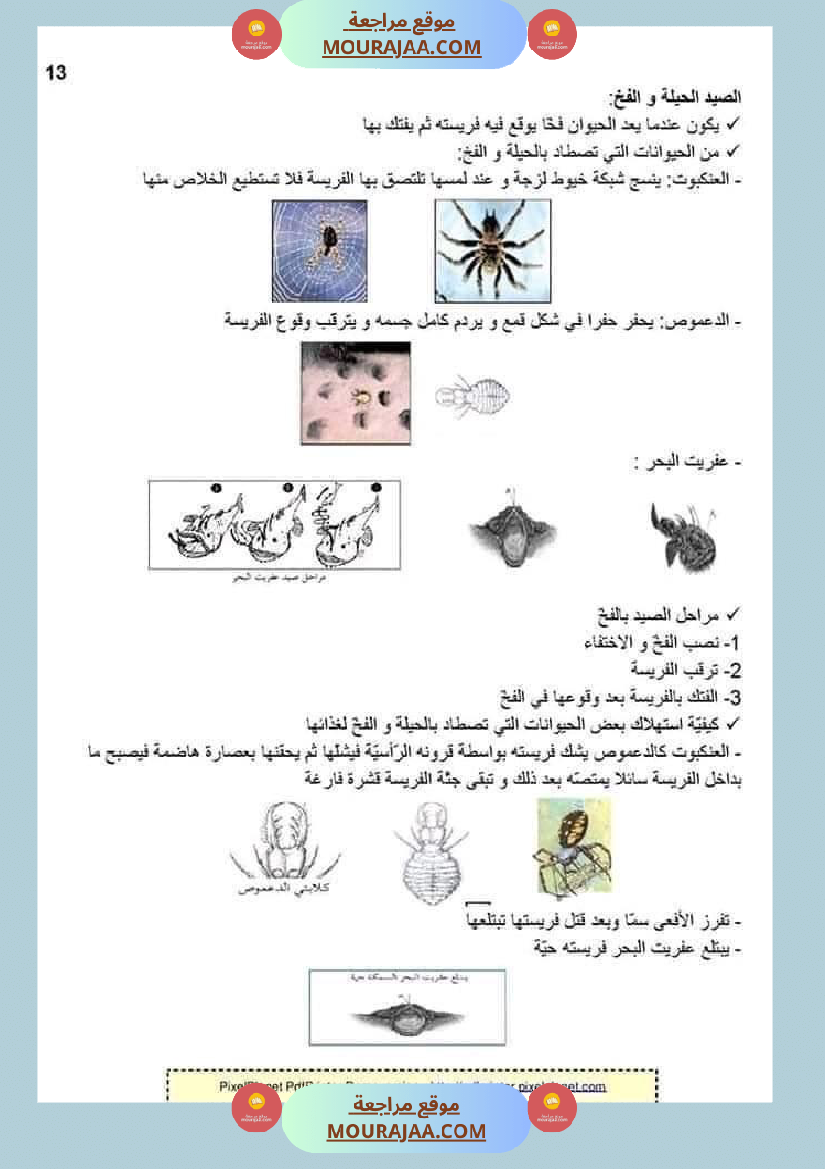 ملخص الايقاظ العلمي للسنة الخامسة