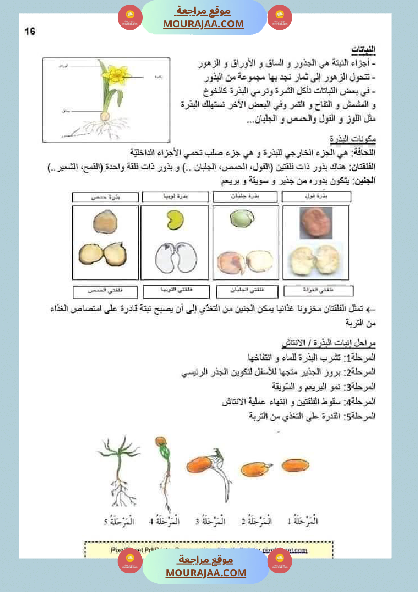 ملخص الايقاظ العلمي للسنة الخامسة