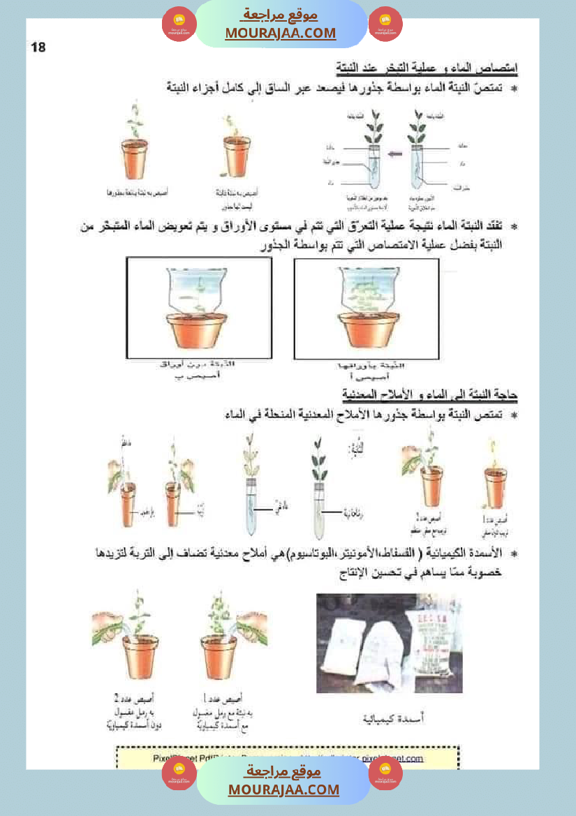 ملخص الايقاظ العلمي للسنة الخامسة