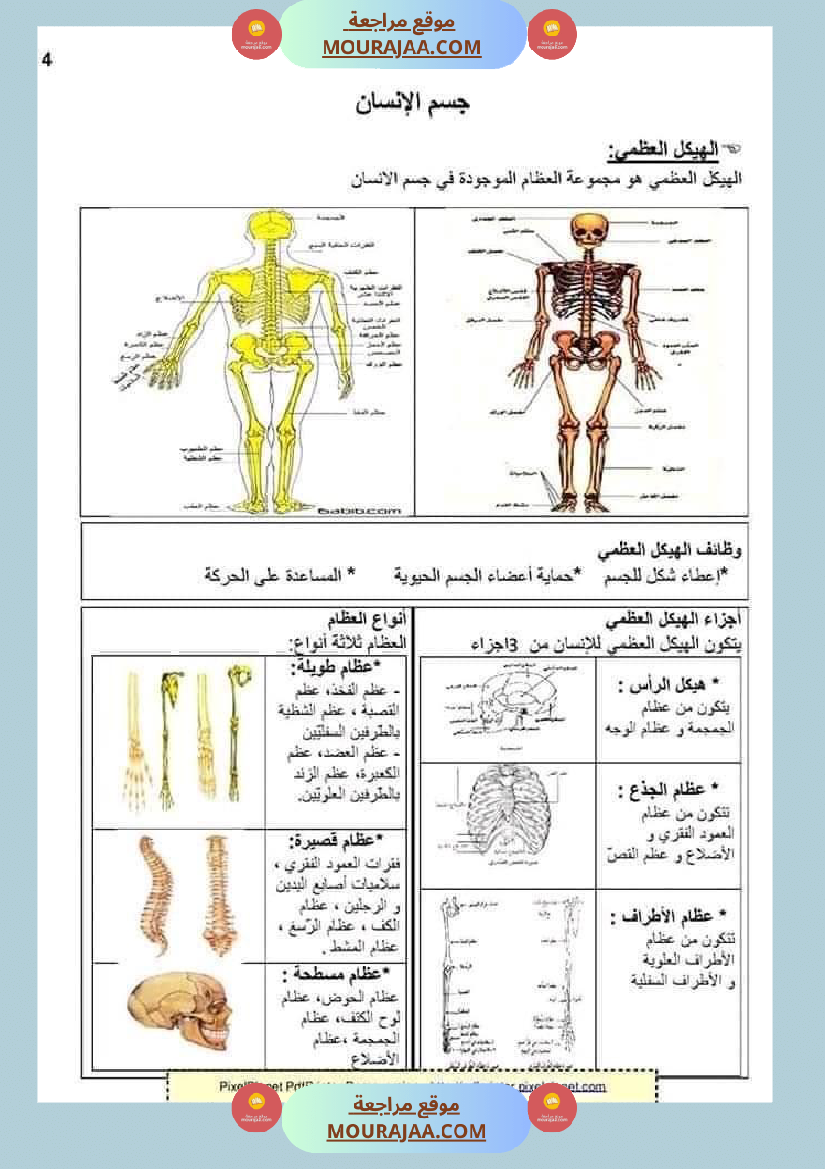 ملخص الايقاظ العلمي للسنة الخامسة