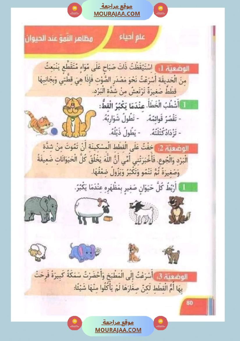 تدريبات ايقاظ علمي لتلاميذ السنة الأولى في الثلاثي الثاني
