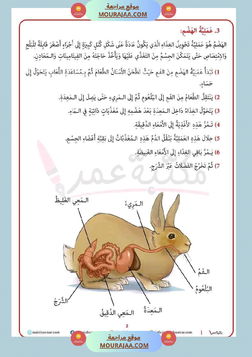 سنة رابعة ايقاظ علمي ثلاثي 2 الجهاز الهضمي عند الأرنب