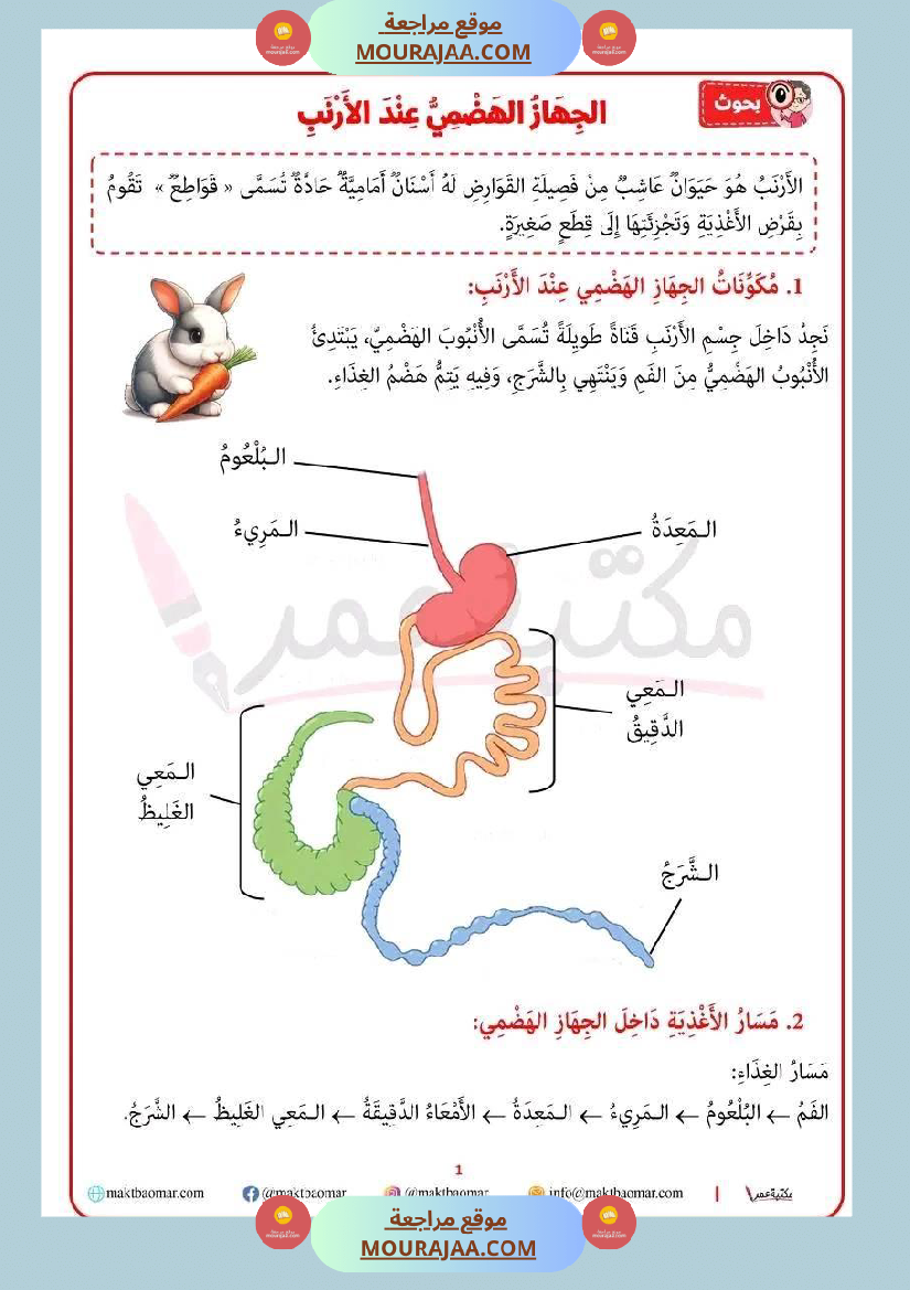 سنة رابعة ايقاظ علمي ثلاثي 2 الجهاز الهضمي عند الأرنب
