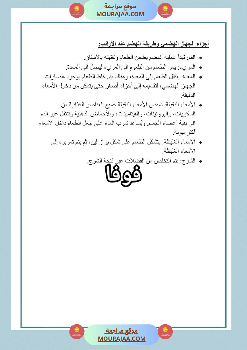 سنة رابعة ايقاظ علمي ثلاثي 2 الجهاز الهضمي عند الأرنب
