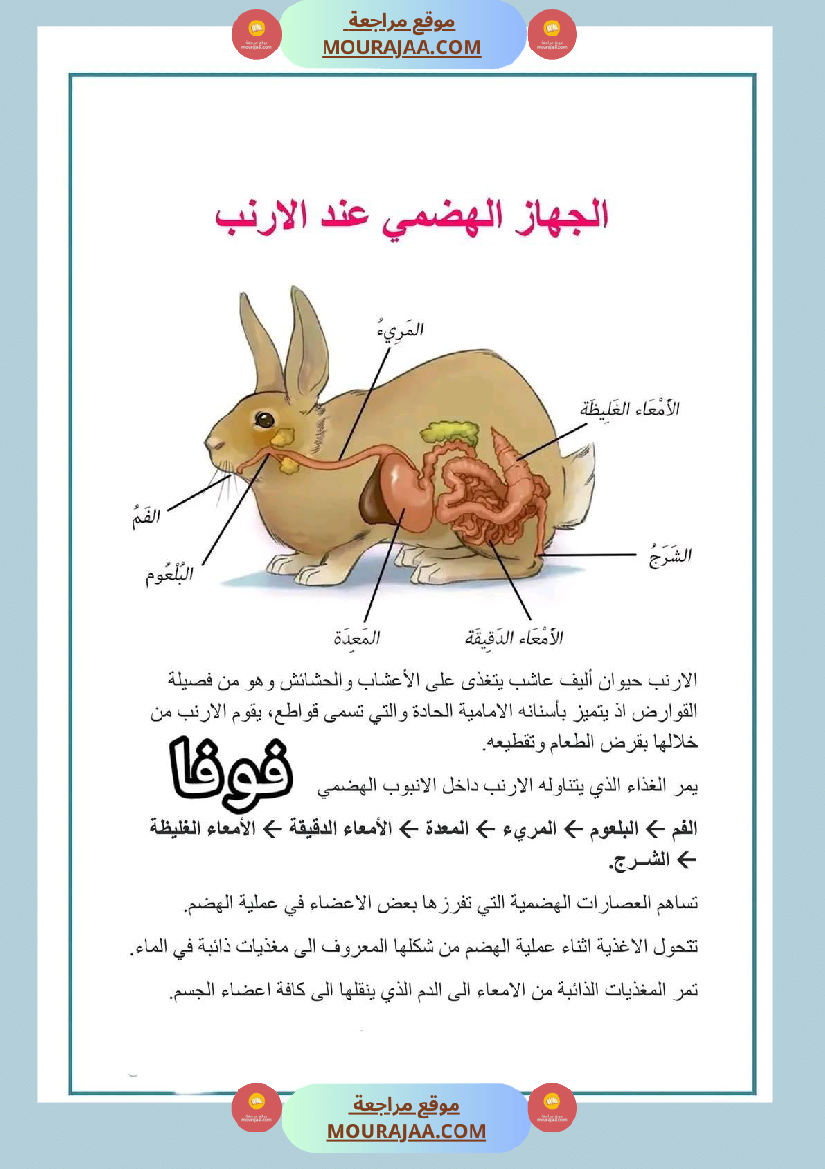 سنة رابعة ايقاظ علمي ثلاثي 2 الجهاز الهضمي عند الأرنب