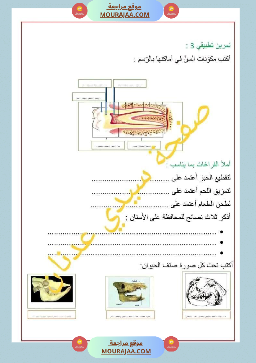 سنة رابعة ايقاظ علمي ثلاثي 2 مع الاصلاح
