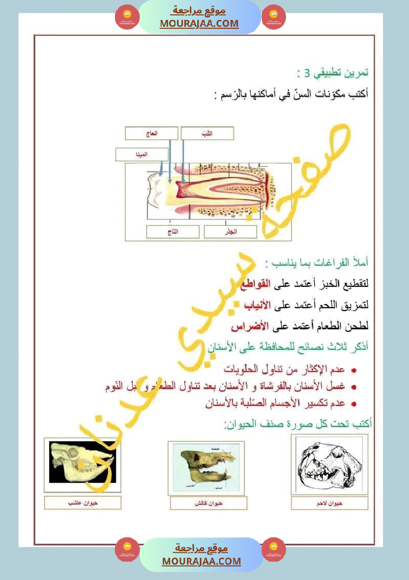 سنة رابعة ايقاظ علمي ثلاثي 2 مع الاصلاح