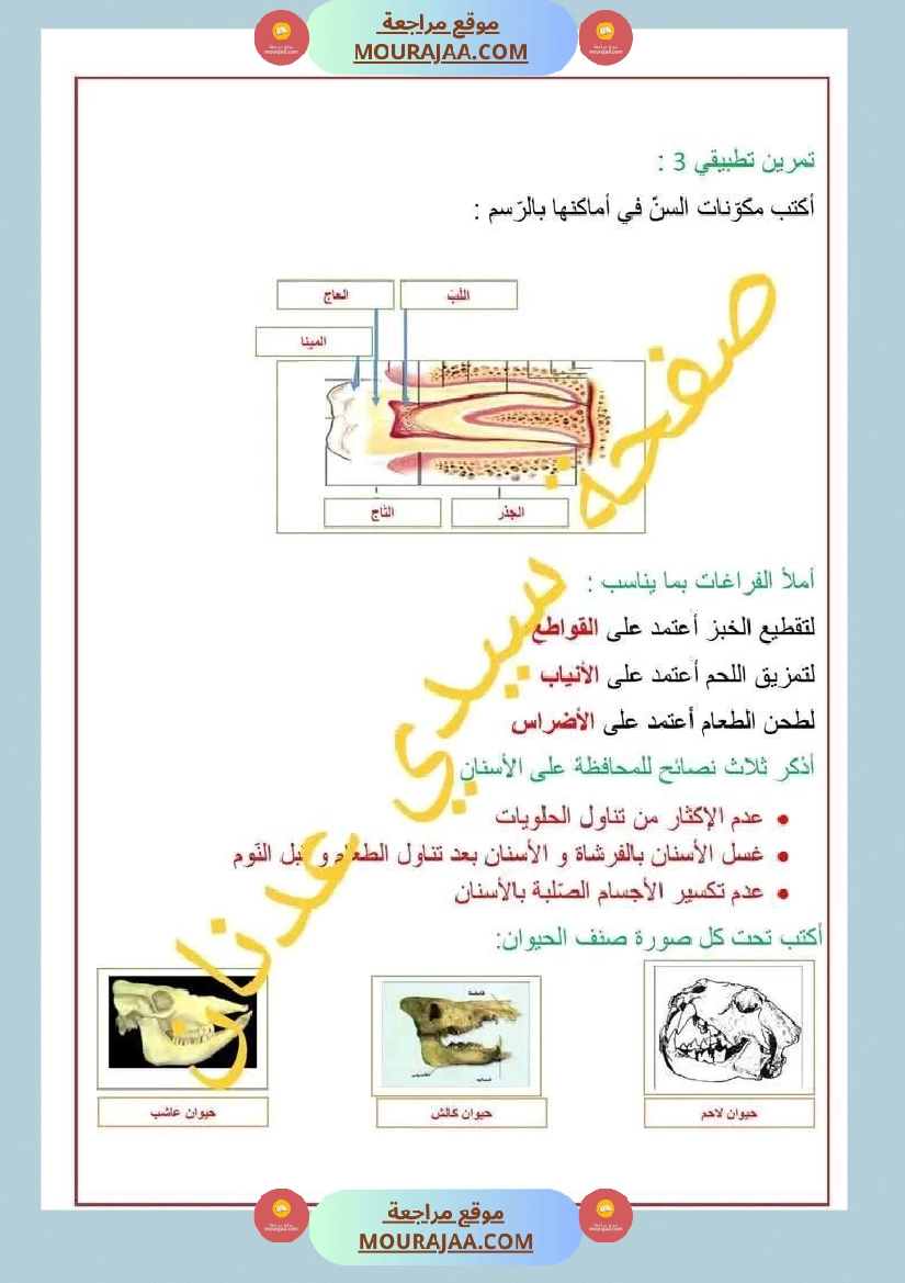 سنة رابعة ايقاظ علمي ثلاثي 2 مع الاصلاح صفحة 4