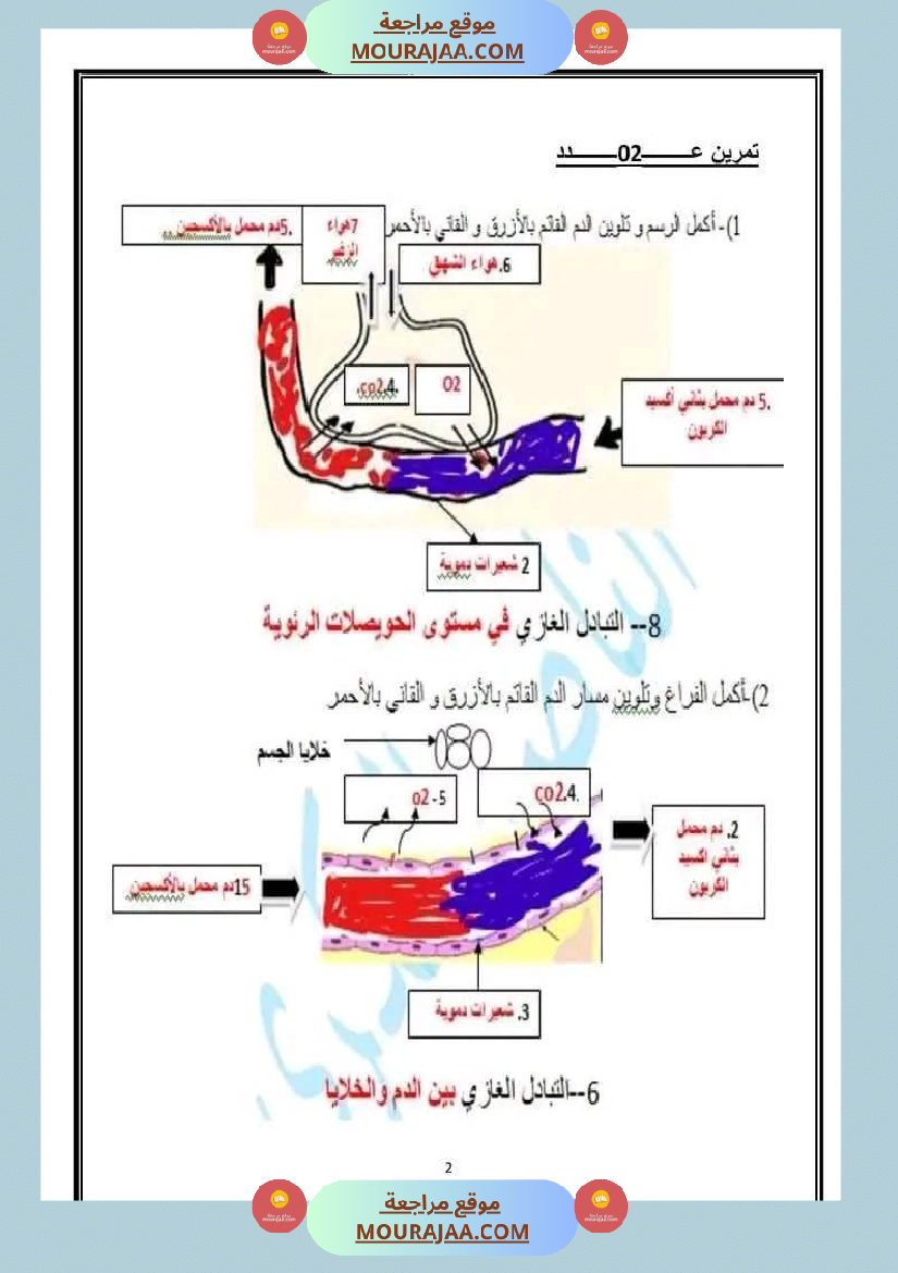 اختبار سنة سادسة ابتدائي ايقاظ علمي الثلاثي الثاني