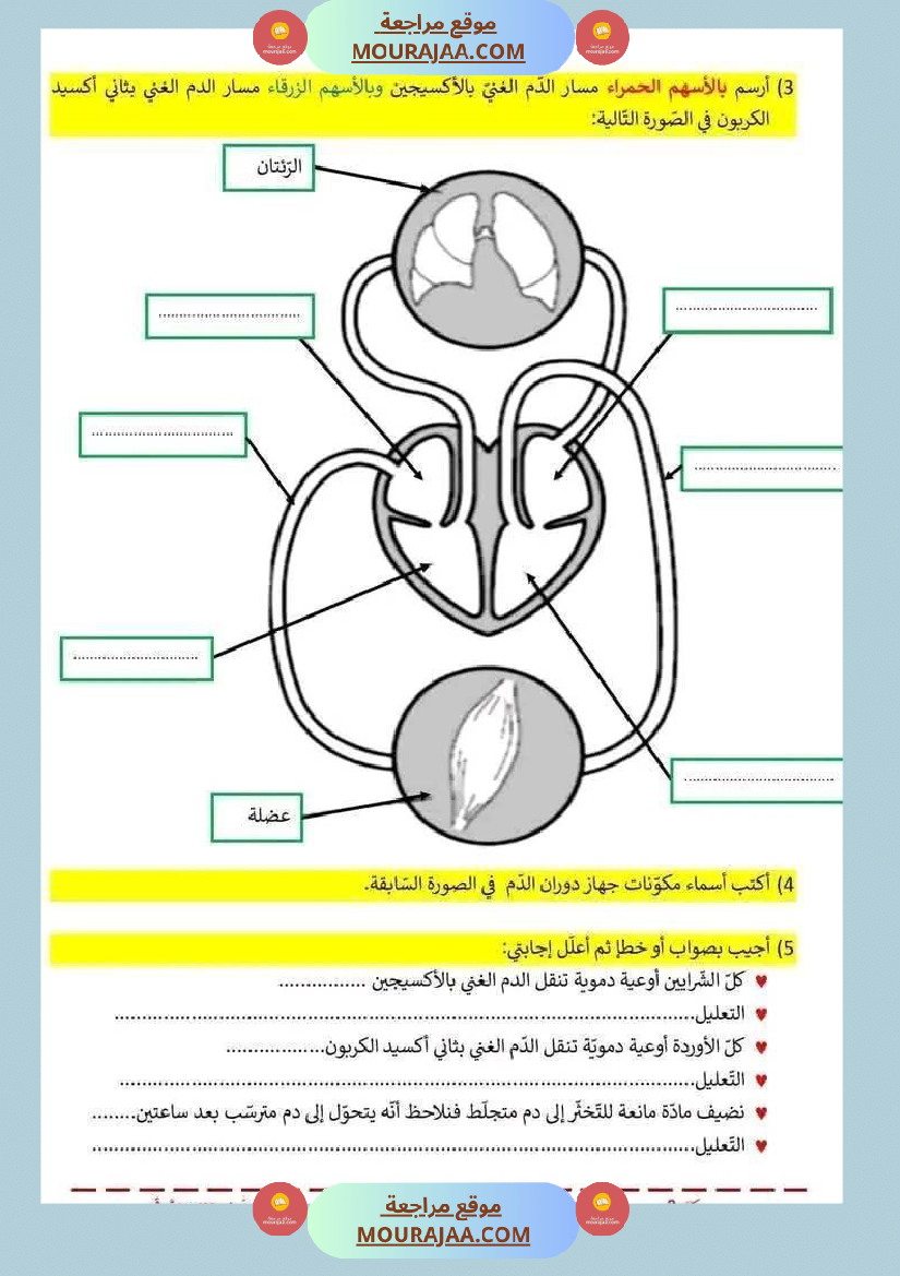 اختبار فيسنة سادسة ابتدائي ايقاظ علمي الثلاثي الثاني