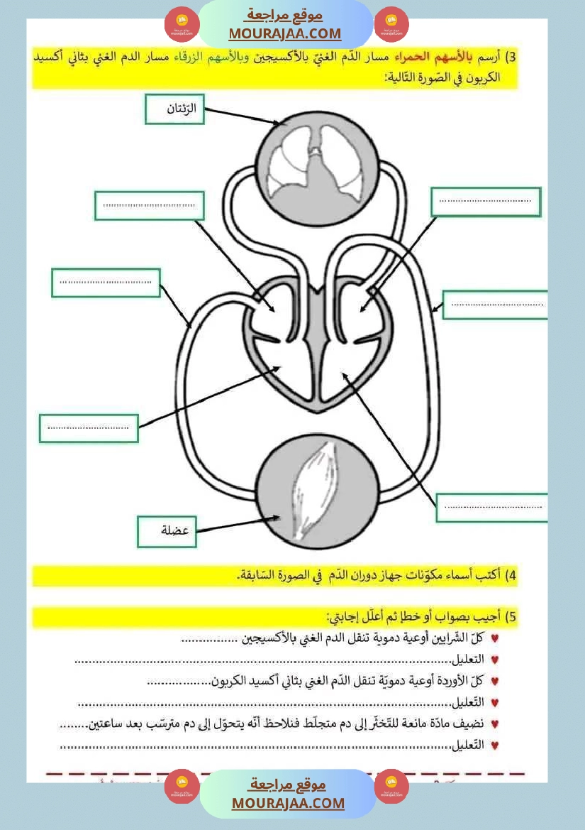 اختبار فيسنة سادسة ابتدائي ايقاظ علمي الثلاثي الثاني صفحة 3