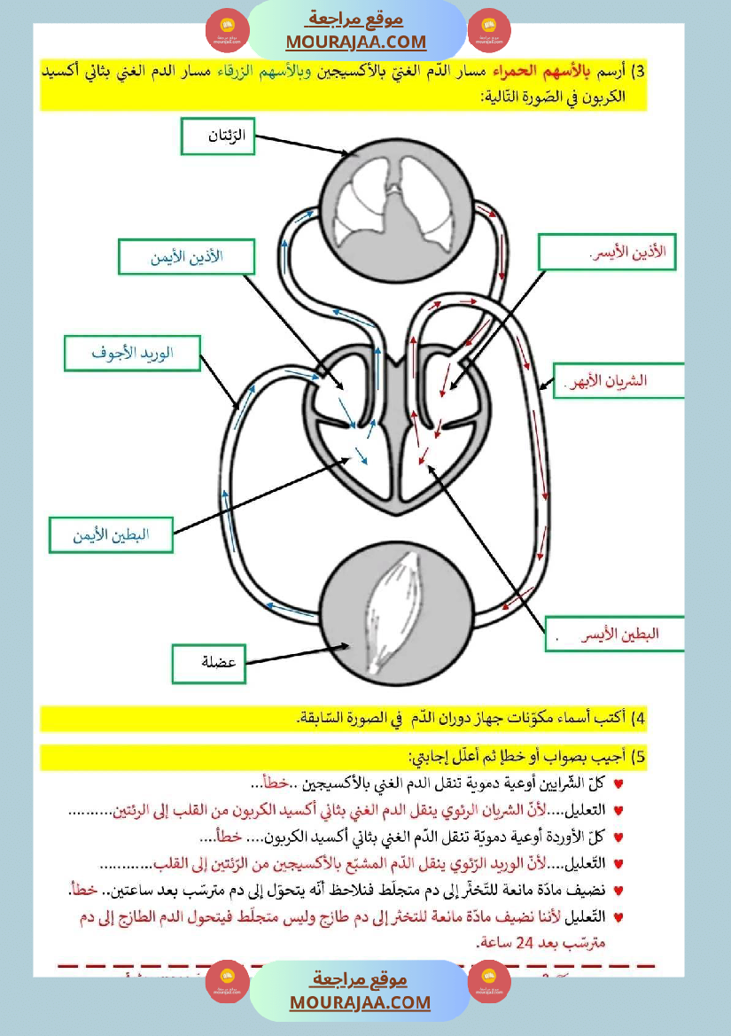 اختبار فيسنة سادسة ابتدائي ايقاظ علمي الثلاثي الثاني