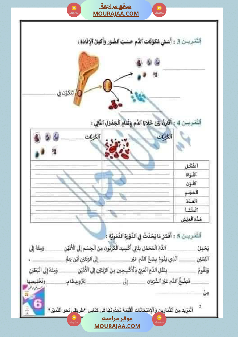 اختبار نهاية الثلاثي سنة سادسة ابتدائي ايقاظ علمي