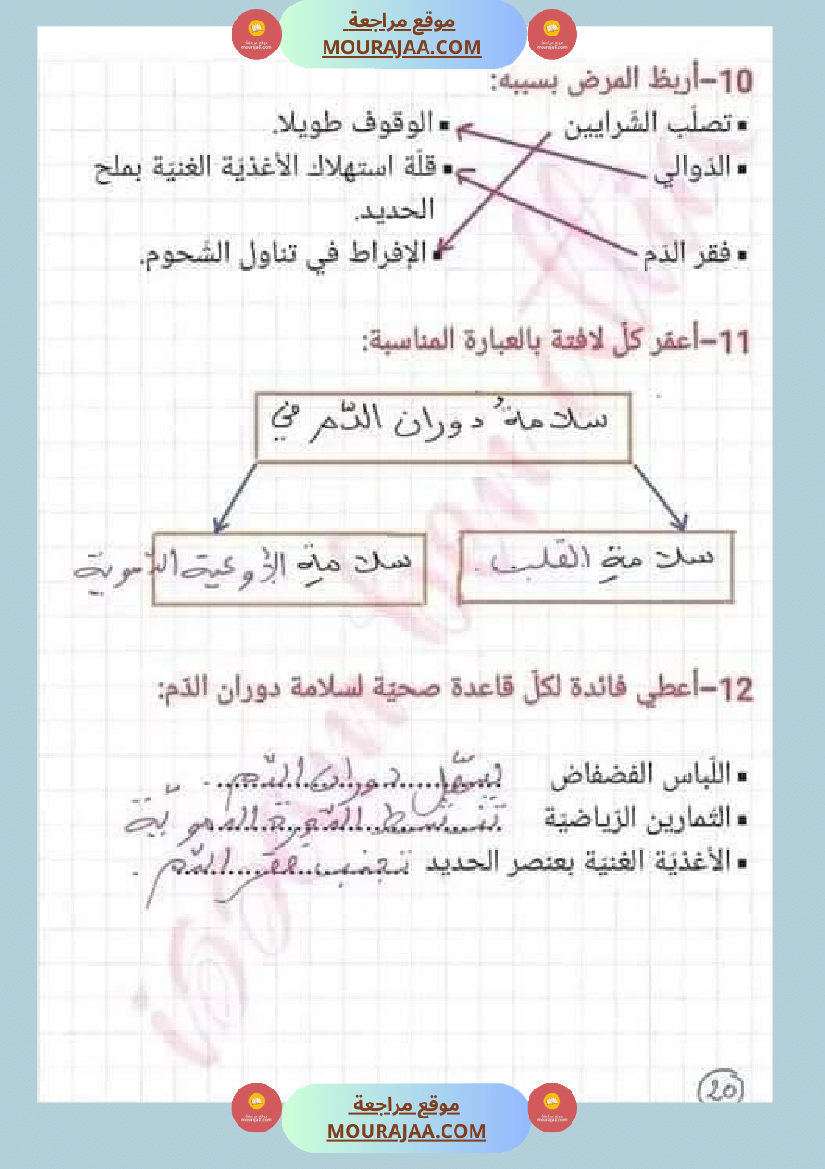 اختبار نهاية الثلاثي سنة سادسة ابتدائي ايقاظ علمي