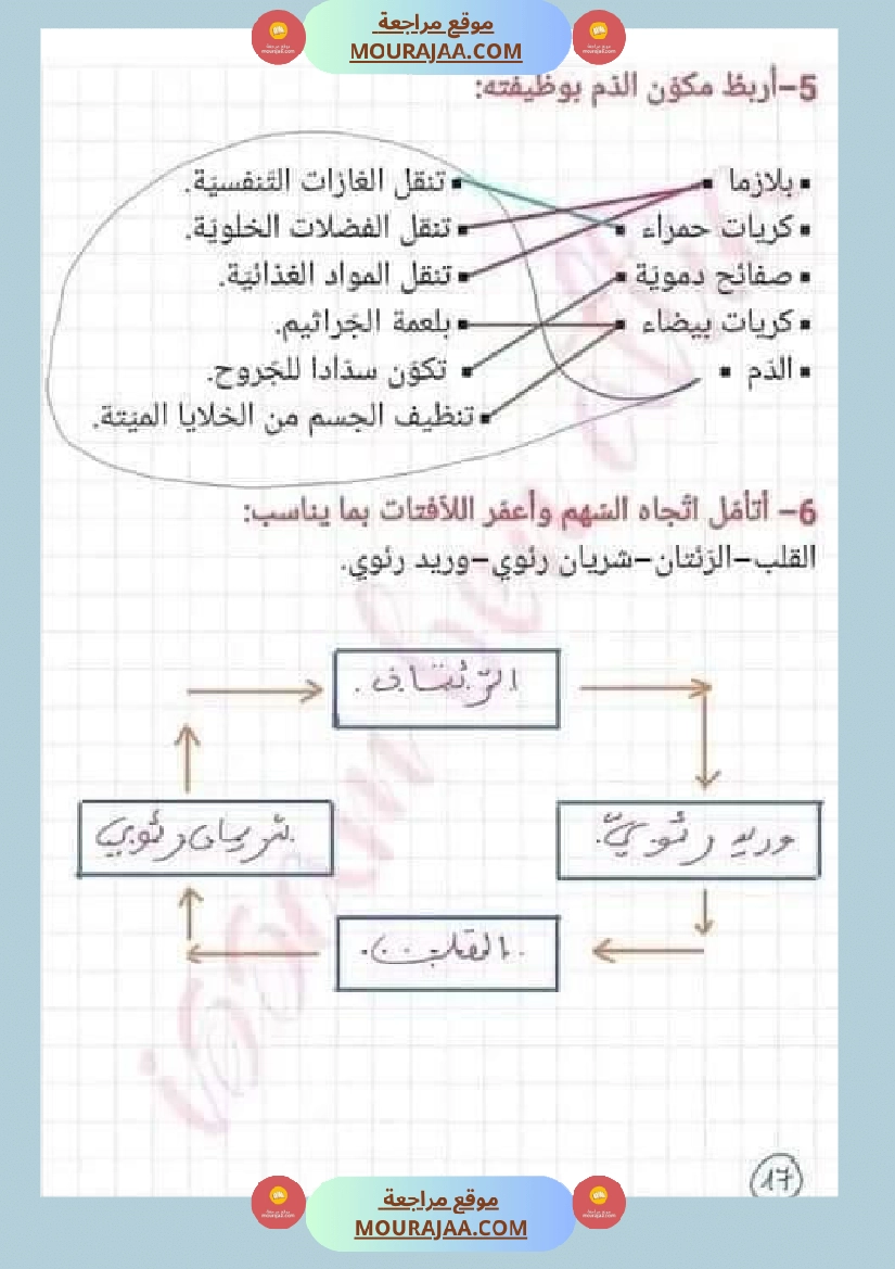 اختبار نهاية الثلاثي سنة سادسة ابتدائي ايقاظ علمي صفحة 14
