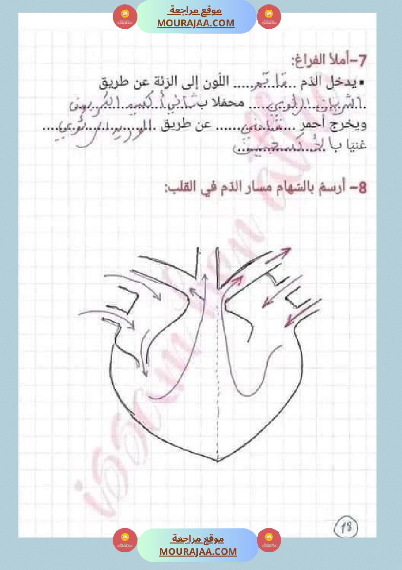اختبار نهاية الثلاثي سنة سادسة ابتدائي ايقاظ علمي
