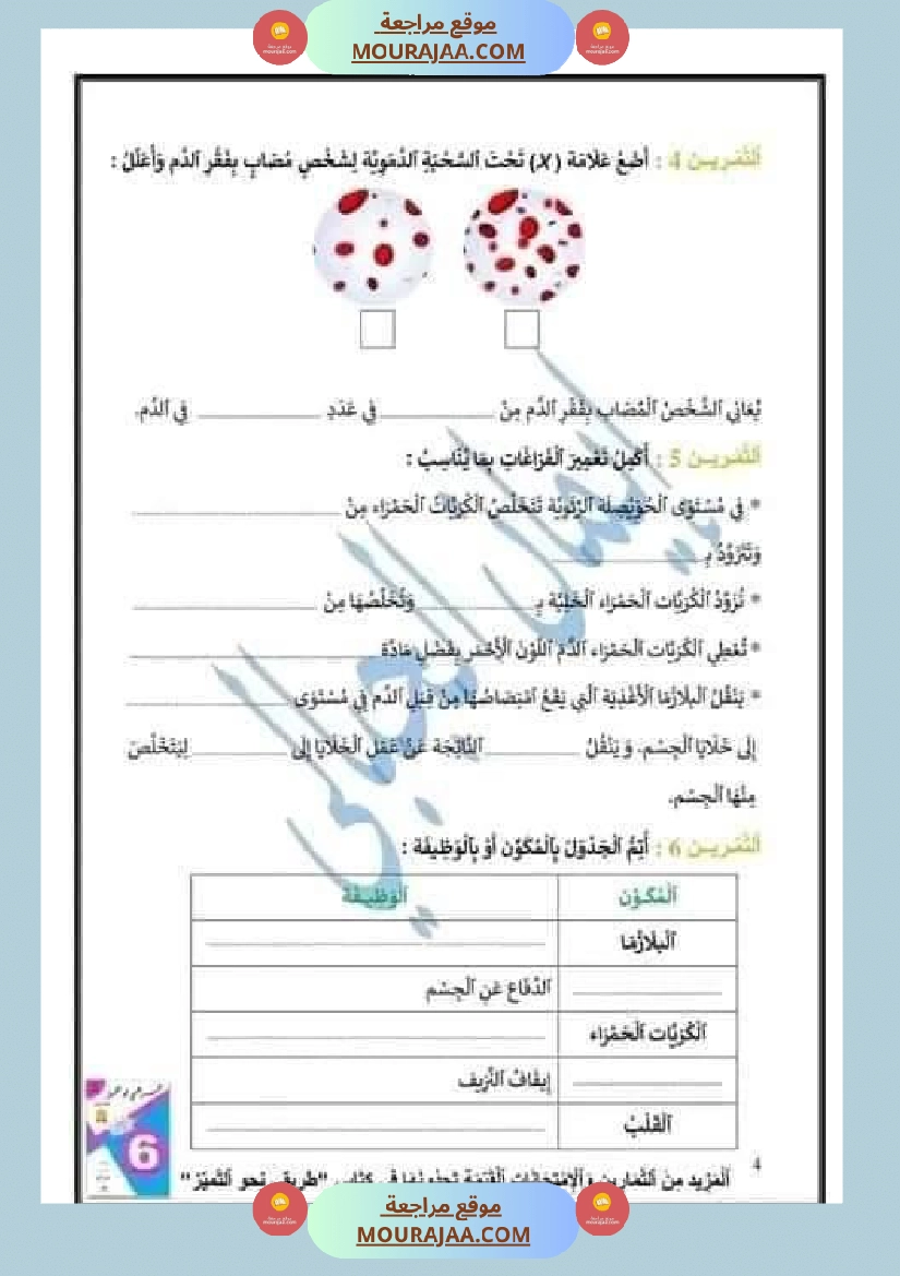 اختبار نهاية الثلاثي سنة سادسة ابتدائي ايقاظ علمي صفحة 17