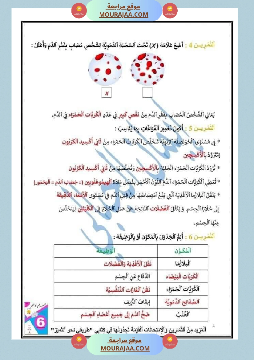 اختبار نهاية الثلاثي سنة سادسة ابتدائي ايقاظ علمي صفحة 21