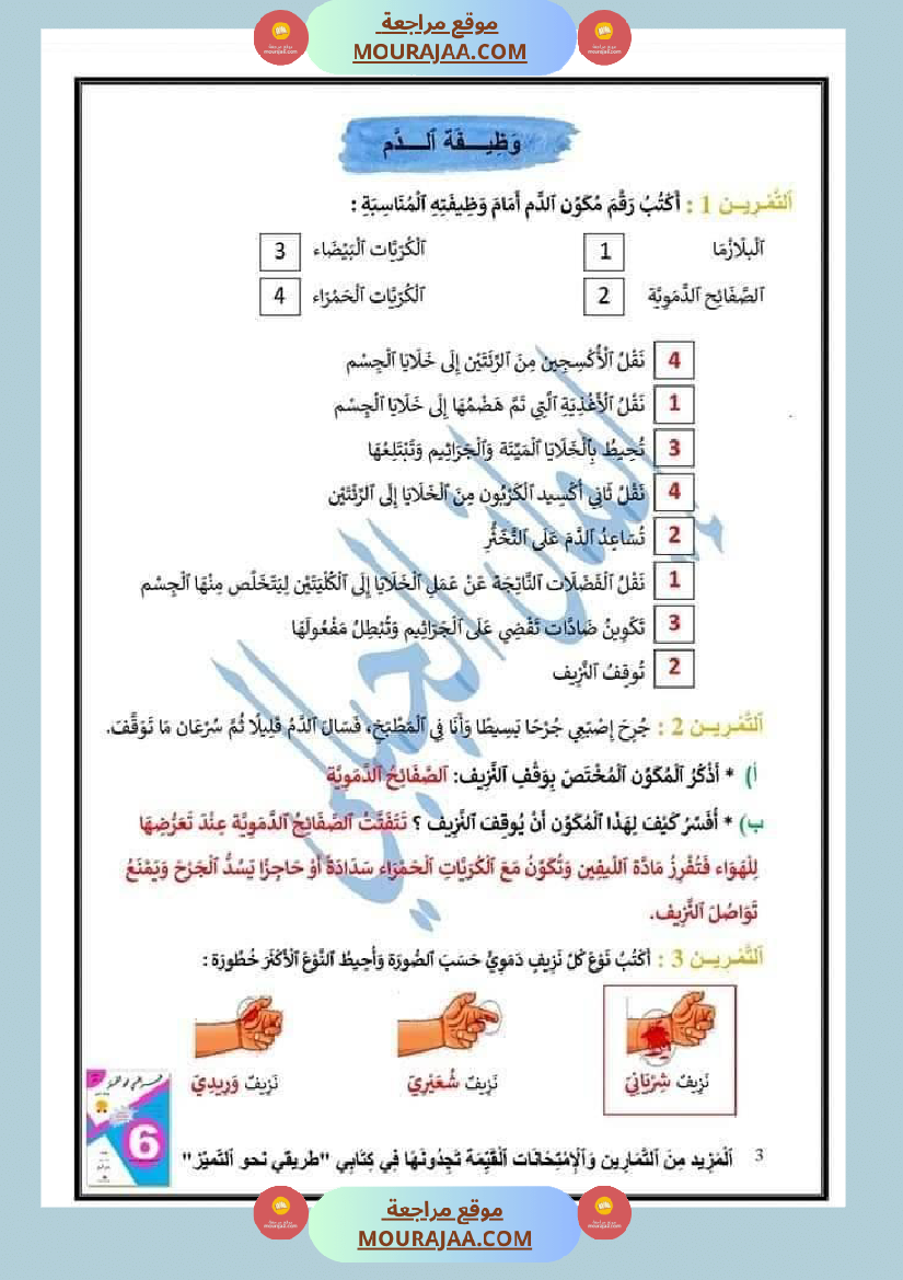 اختبار نهاية الثلاثي سنة سادسة ابتدائي ايقاظ علمي