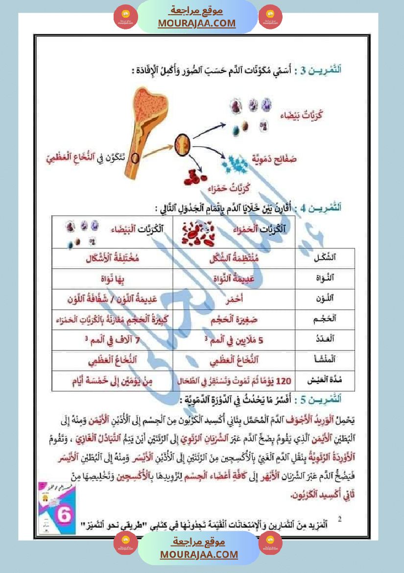 اختبار نهاية الثلاثي سنة سادسة ابتدائي ايقاظ علمي