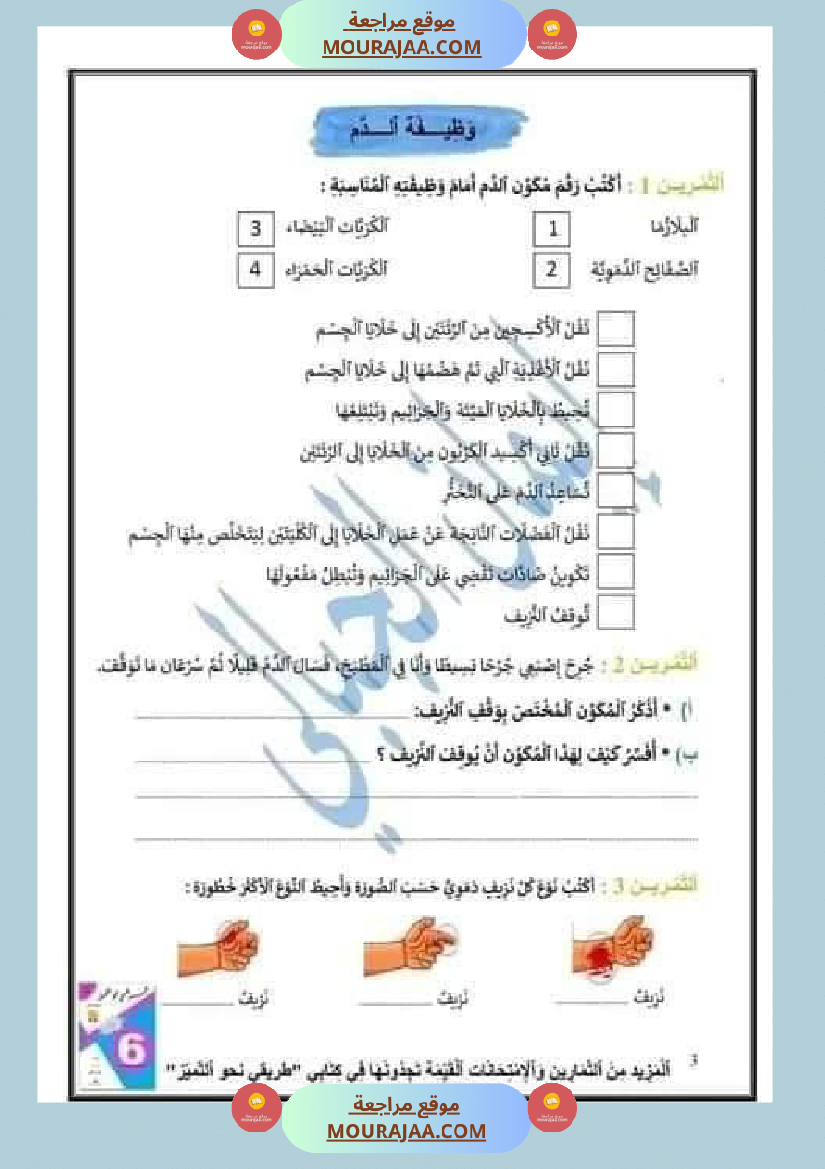 اختبار نهاية الثلاثي سنة سادسة ابتدائي ايقاظ علمي