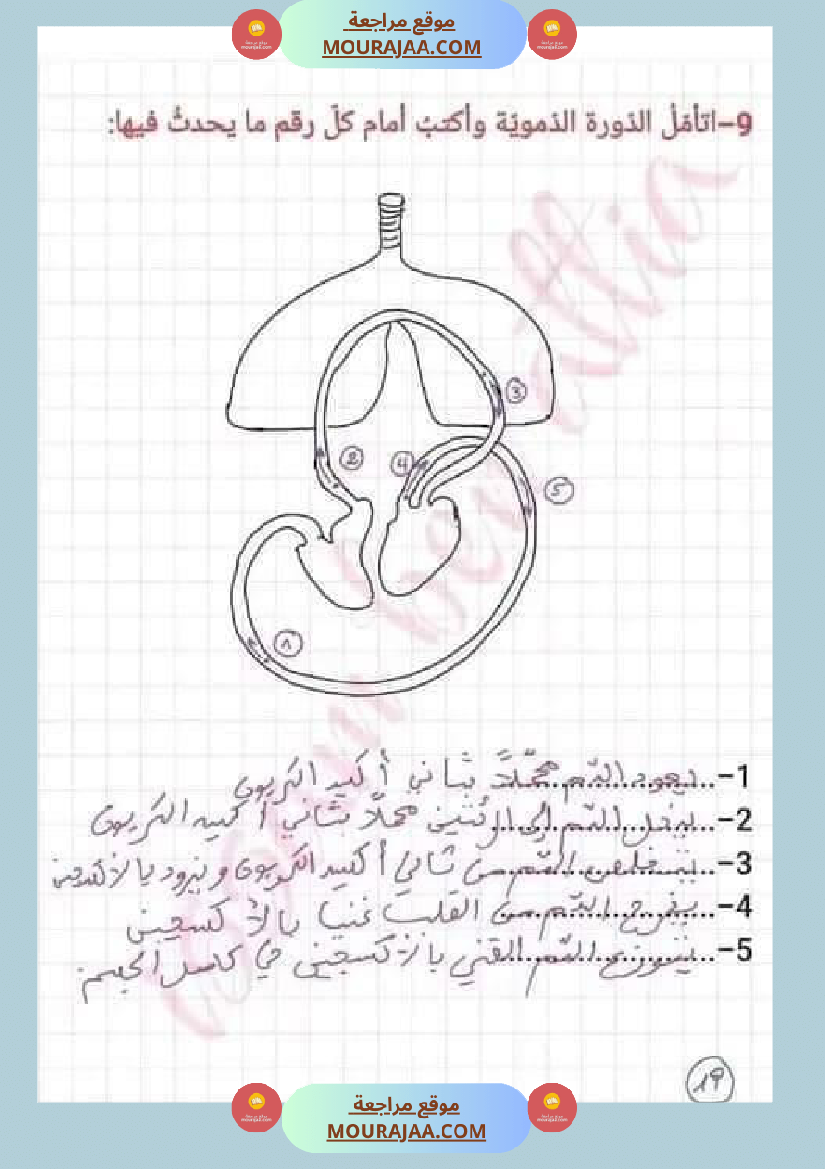 اختبار نهاية الثلاثي سنة سادسة ابتدائي ايقاظ علمي