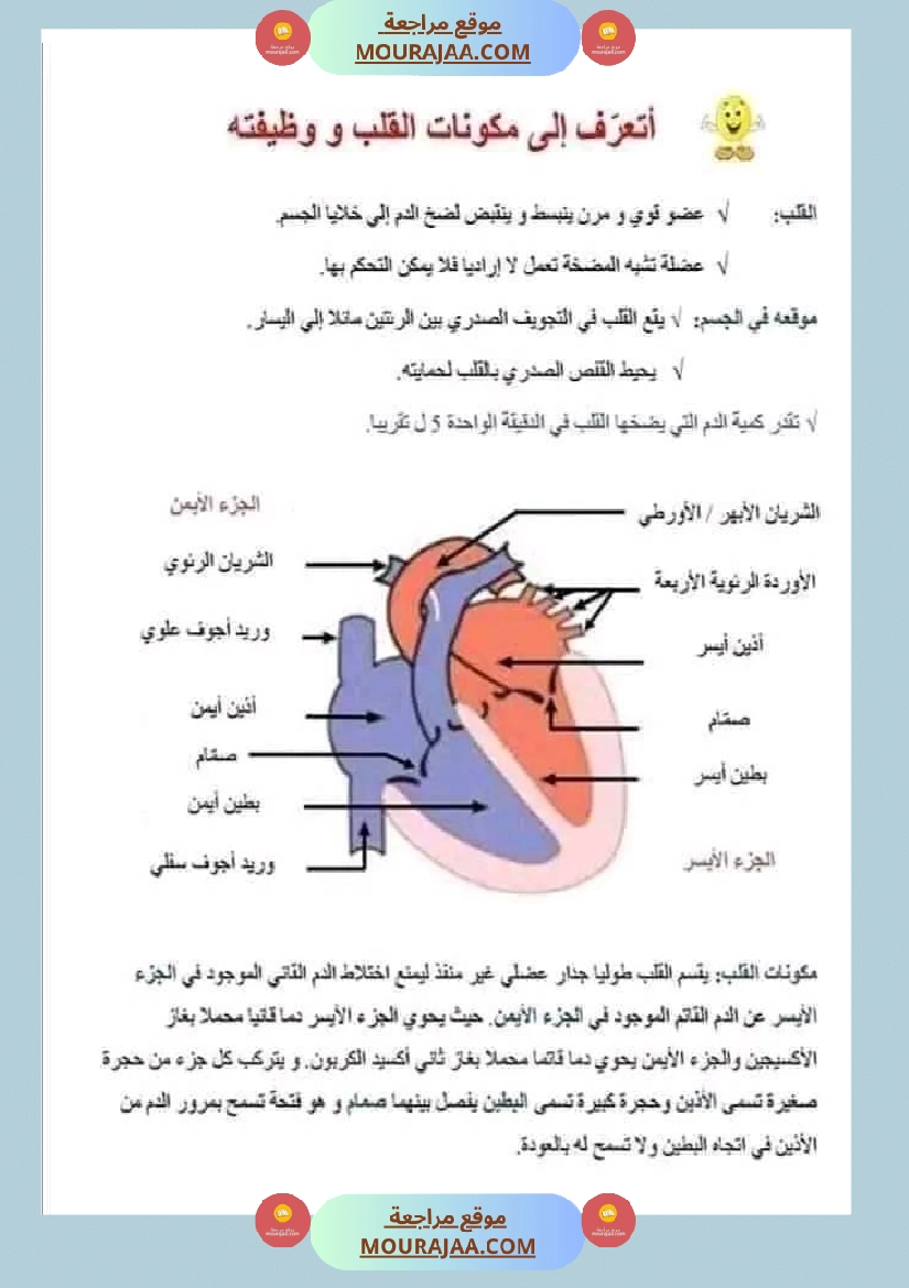 امتحان ايقاظ علمي سنة سادسة ابتدائي الثلاثي الثاني صفحة 14