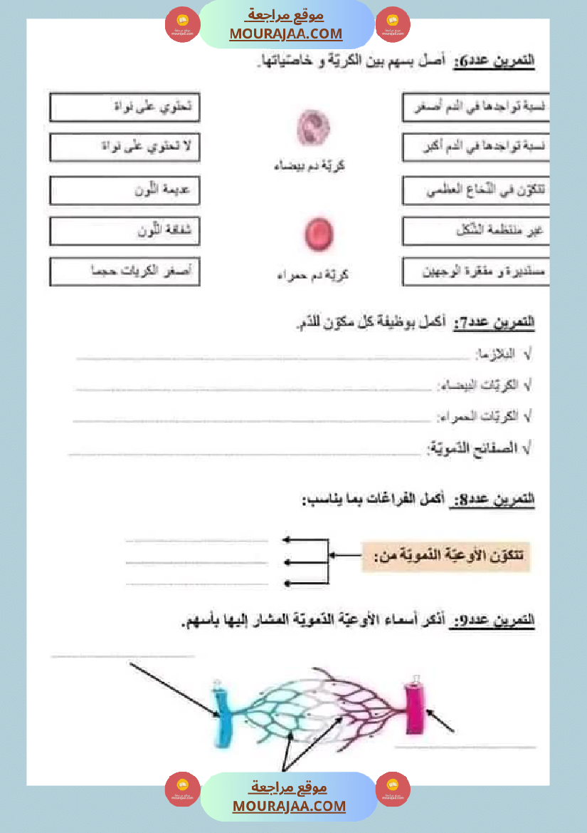 امتحان ايقاظ علمي سنة سادسة ابتدائي الثلاثي الثاني