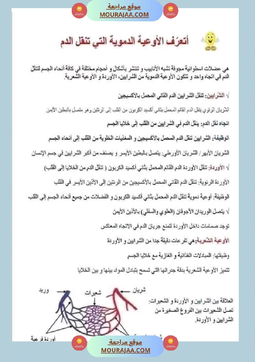 امتحان ايقاظ علمي سنة سادسة ابتدائي الثلاثي الثاني صفحة 9