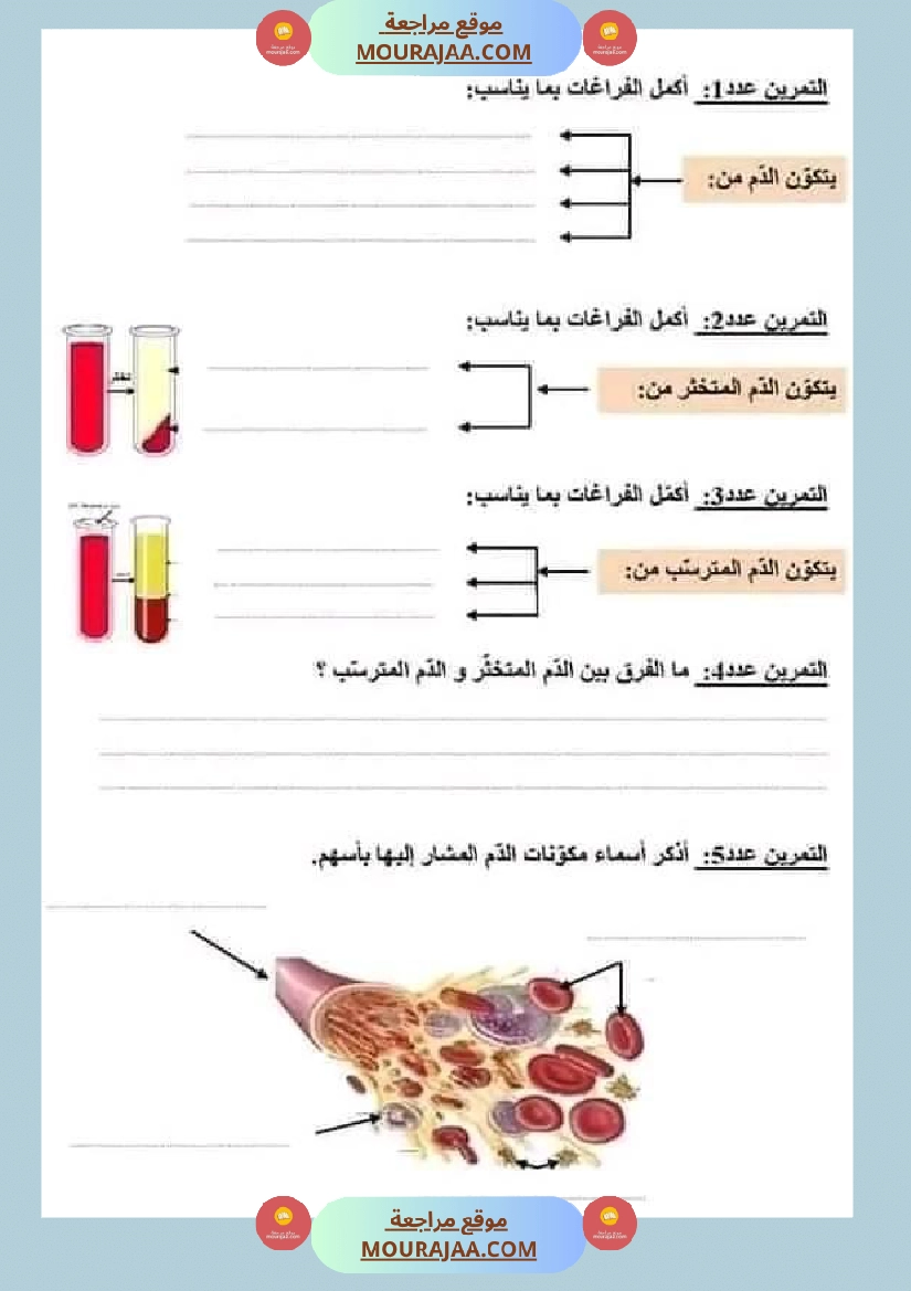 امتحان ايقاظ علمي سنة سادسة ابتدائي الثلاثي الثاني صفحة 10