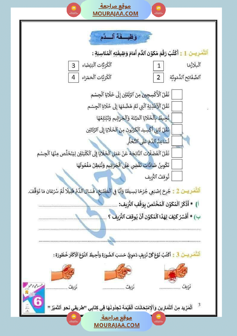 إيقاظ علمي السنة السادسة