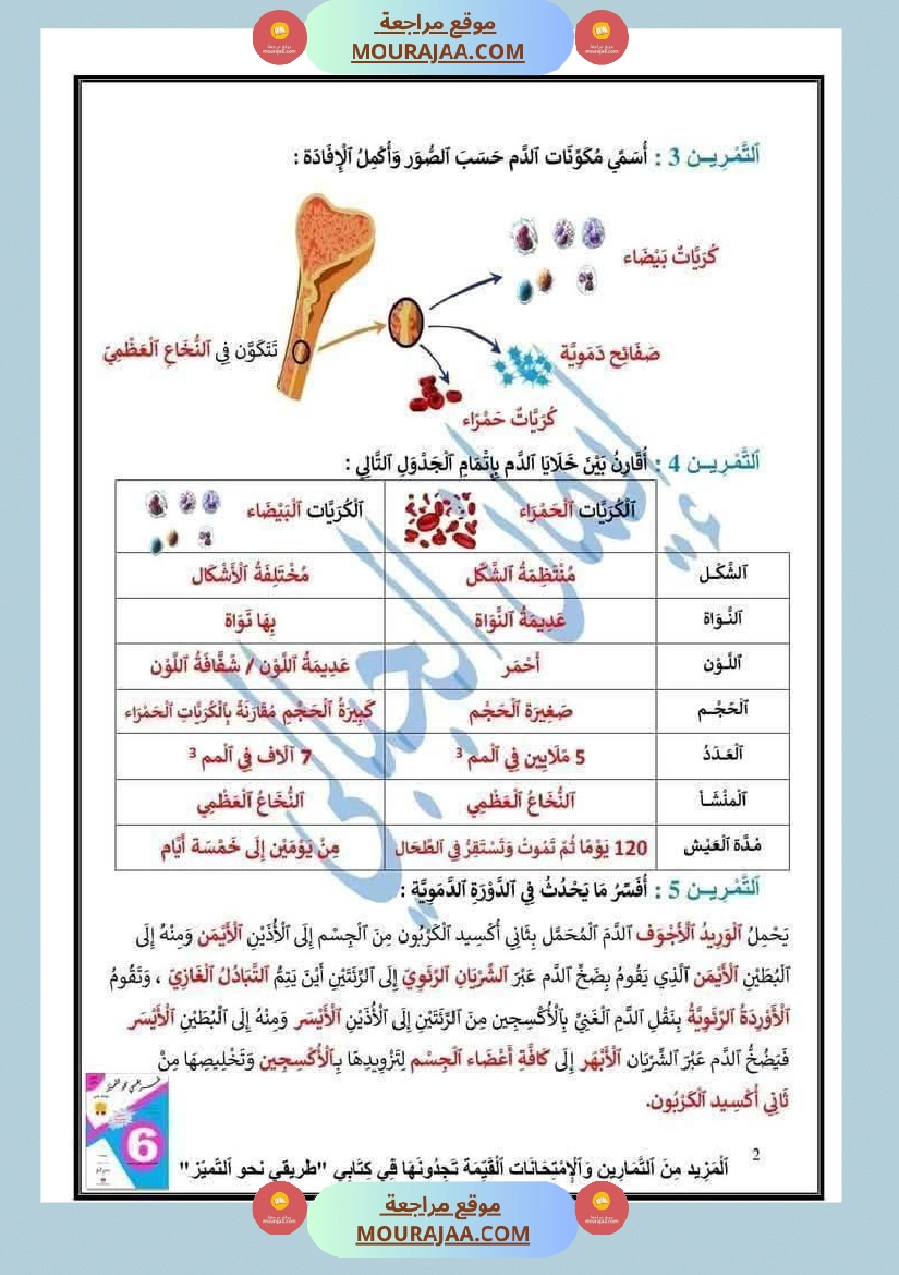 إيقاظ علمي السنة السادسة  صفحة 8