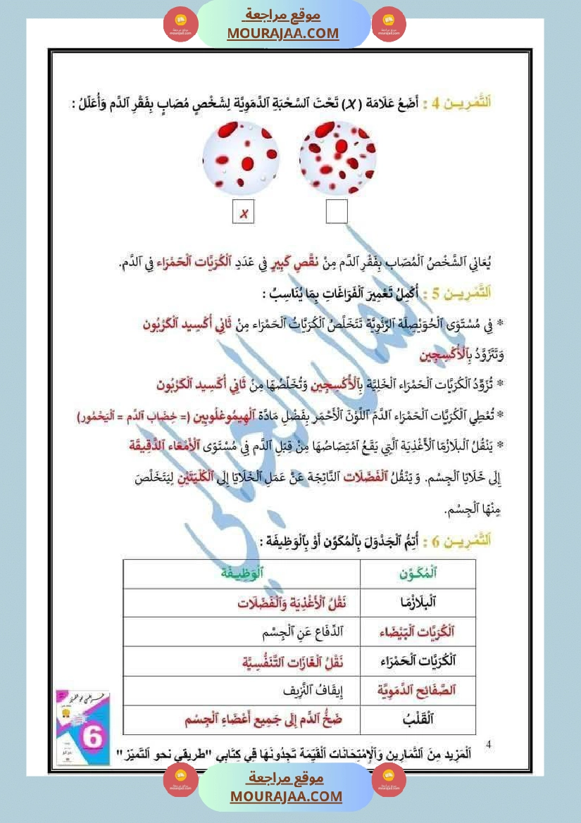 إيقاظ علمي السنة السادسة  صفحة 10