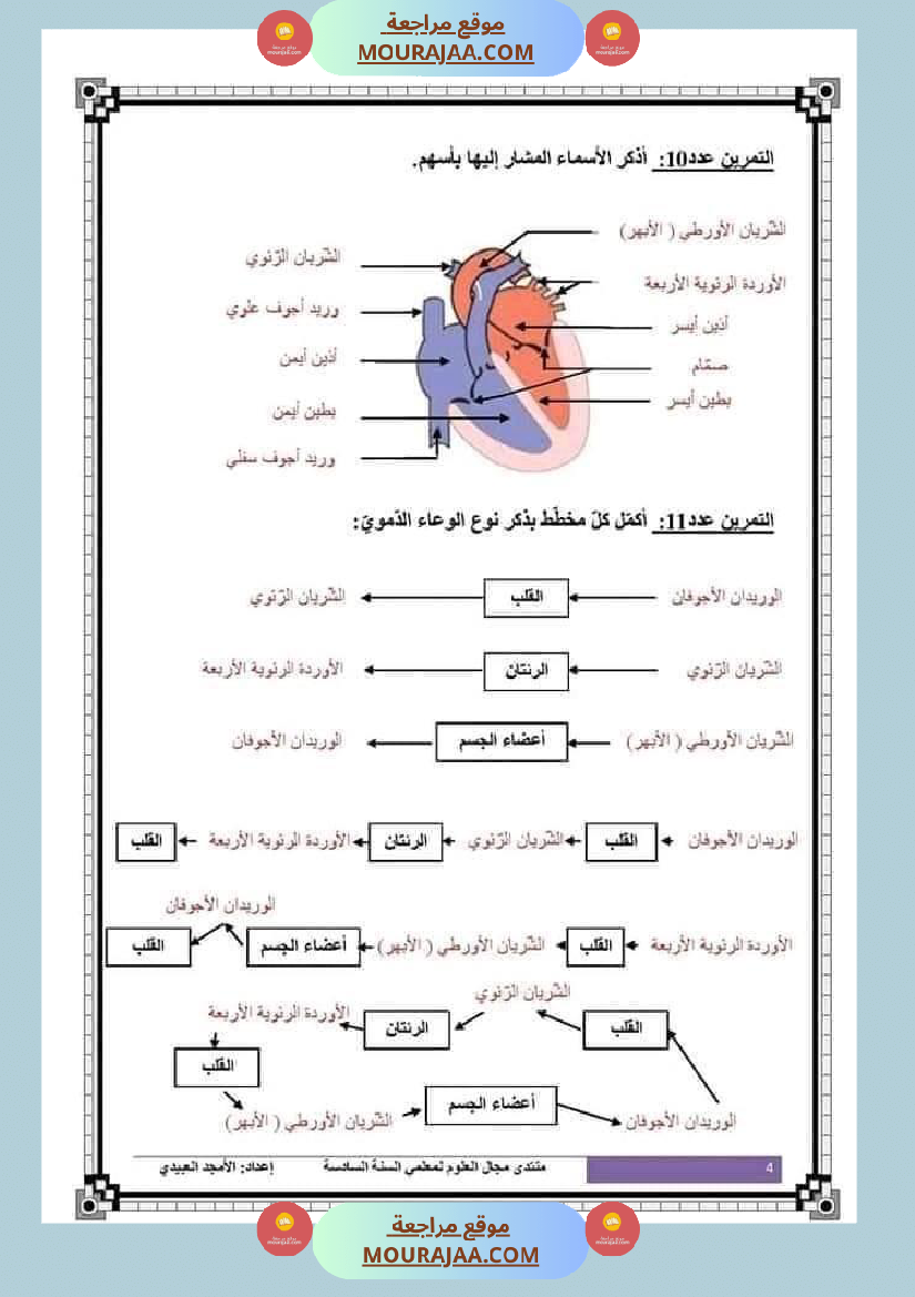 تلاخيص تمارين وتطبيقات محور الدم مصحوبة بالإصلاح لفائدة تلاميذ السنة السادسة