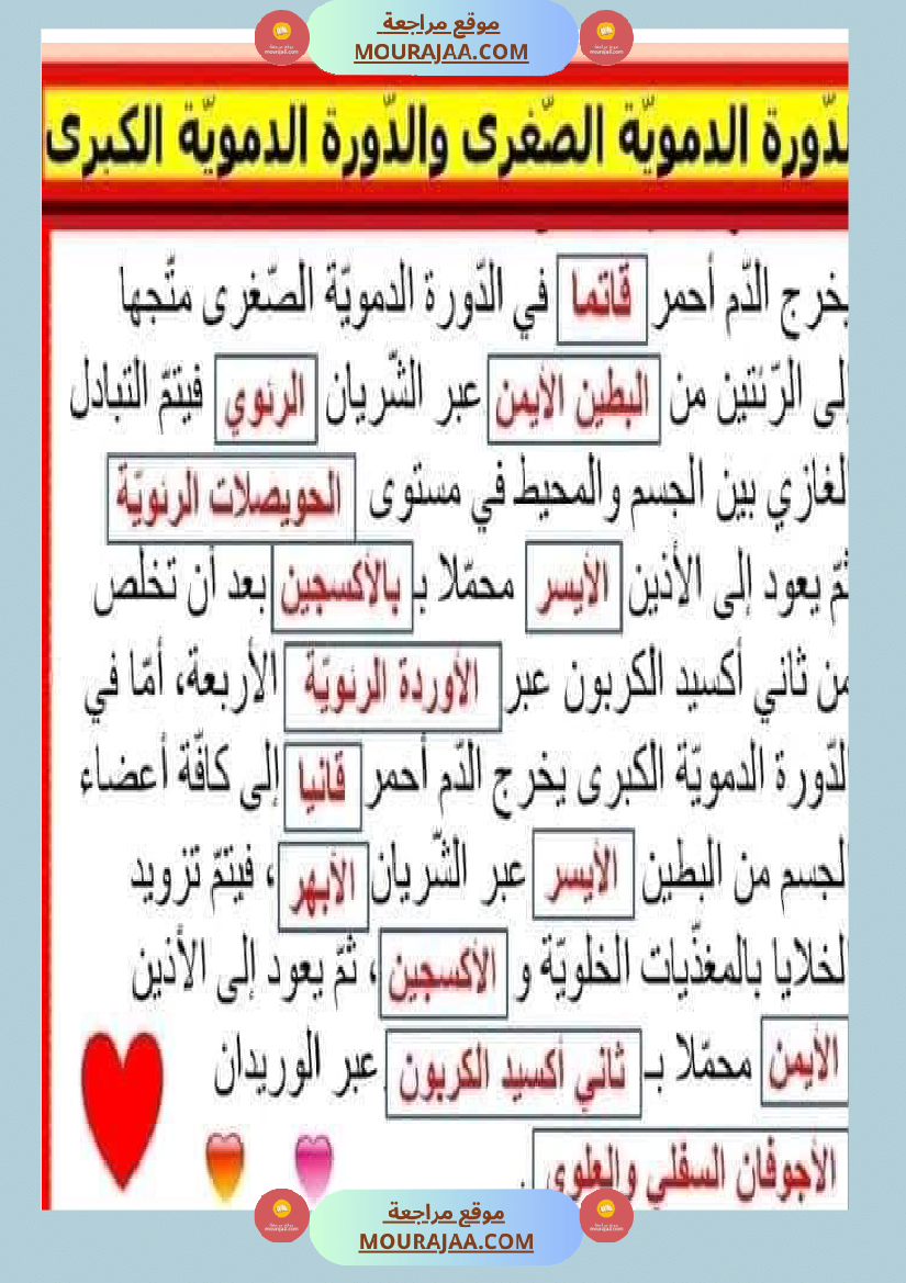 تلاخيص تمارين وتطبيقات محور الدم مصحوبة بالإصلاح لفائدة تلاميذ السنة السادسة