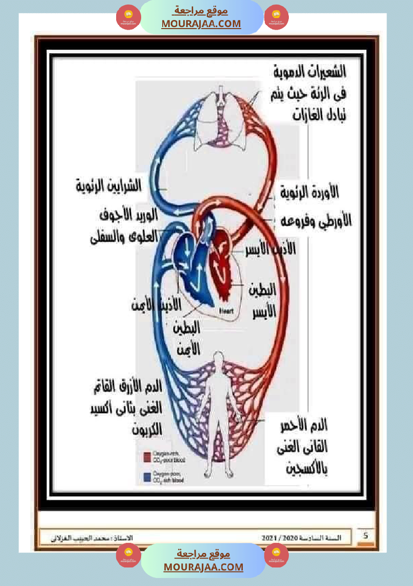 تلاخيص تمارين وتطبيقات محور الدم مصحوبة بالإصلاح لفائدة تلاميذ السنة السادسة