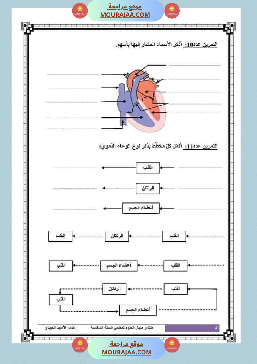 تلاخيص تمارين وتطبيقات محور الدم مصحوبة بالإصلاح لفائدة تلاميذ السنة السادسة