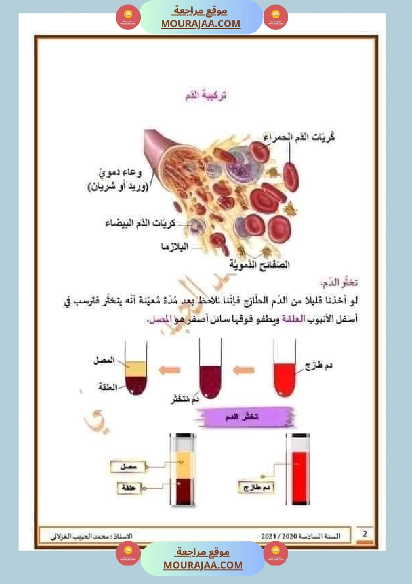 تلاخيص تمارين وتطبيقات محور الدم مصحوبة بالإصلاح لفائدة تلاميذ السنة السادسة صفحة 7
