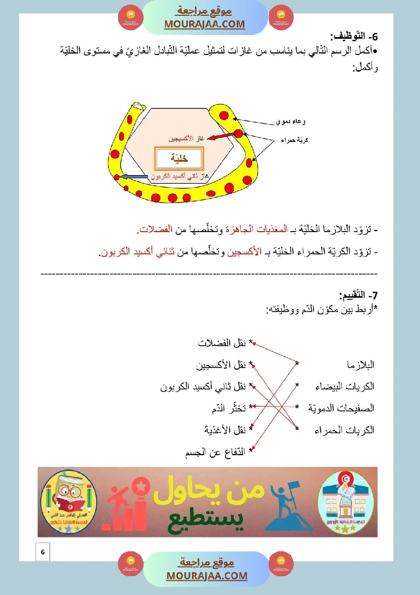 سنة سادسة التمارين المرفقة بالاصلاح في مادة الايقاظ العلمي ثلاثي 2