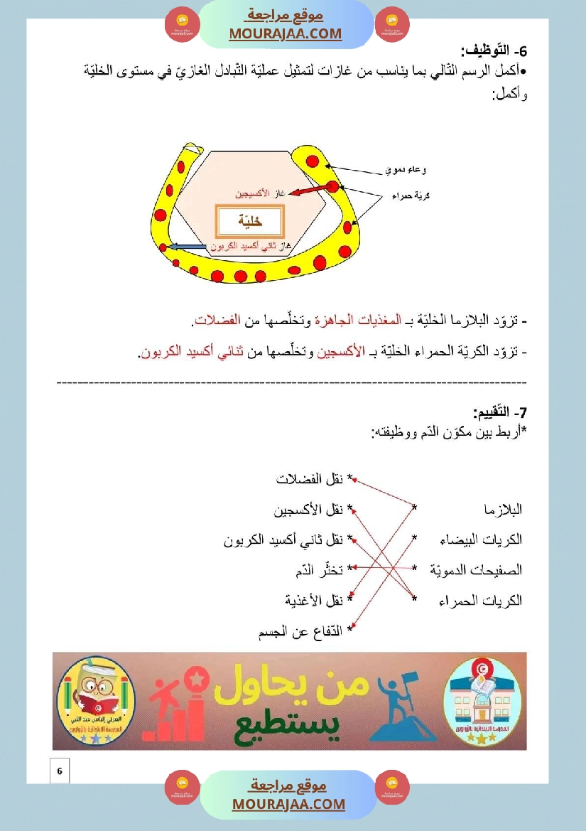 سنة سادسة التمارين المرفقة بالاصلاح في مادة الايقاظ العلمي ثلاثي 2 صفحة 1