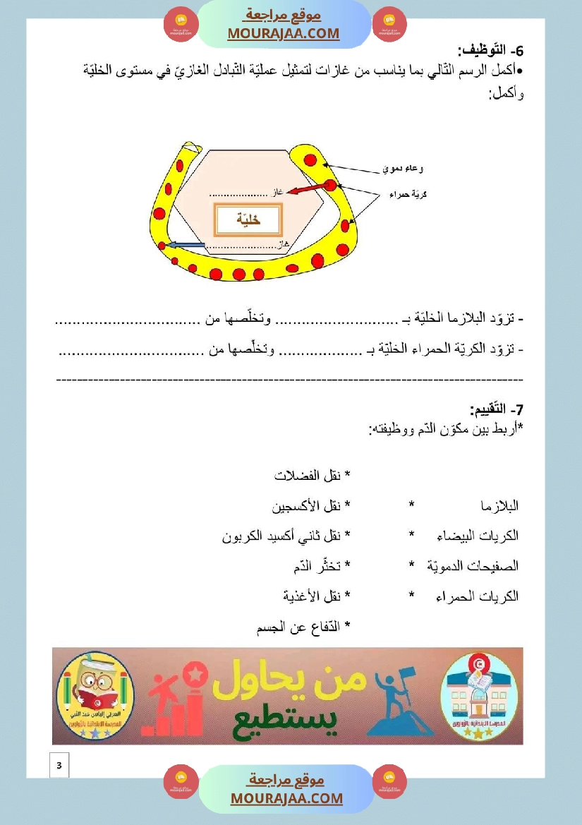 سنة سادسة التمارين المرفقة بالاصلاح في مادة الايقاظ العلمي ثلاثي 2 صفحة 2