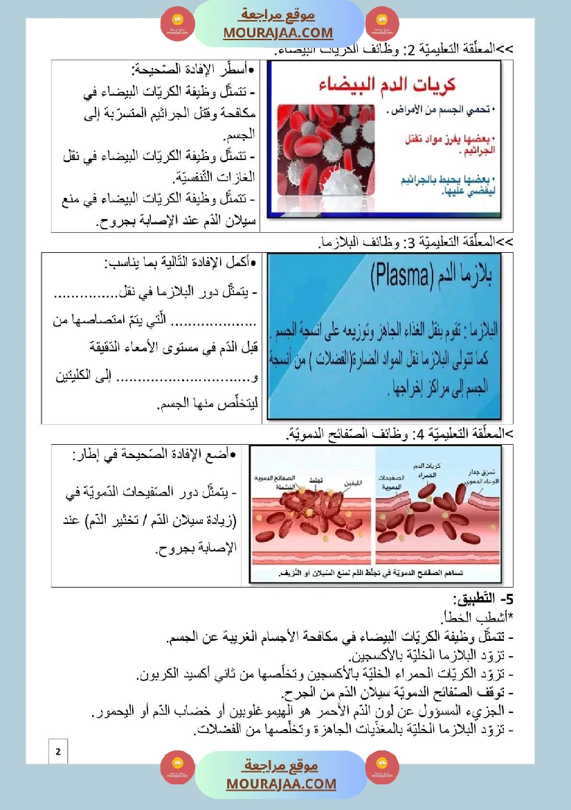 سنة سادسة التمارين المرفقة بالاصلاح في مادة الايقاظ العلمي ثلاثي 2 صفحة 4
